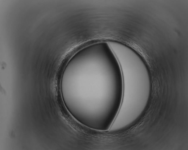X0000091100680200708061023