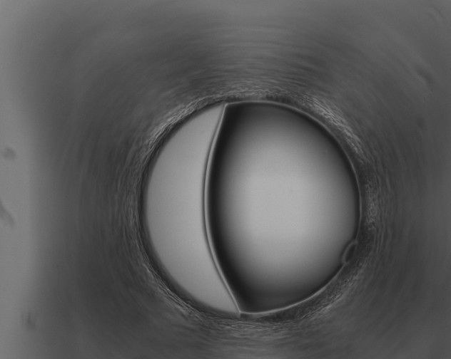 X0000091100681200708061023