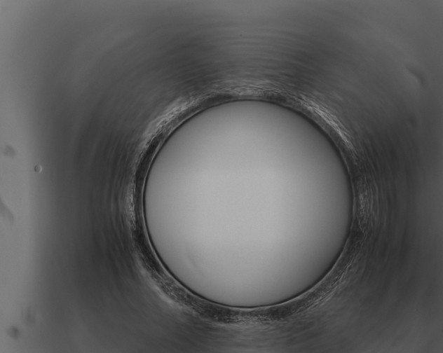 X0000091100682200708061023