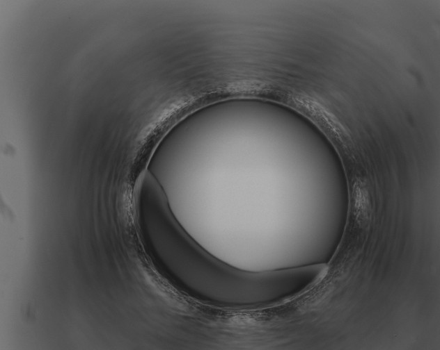 X0000091100684200708061023