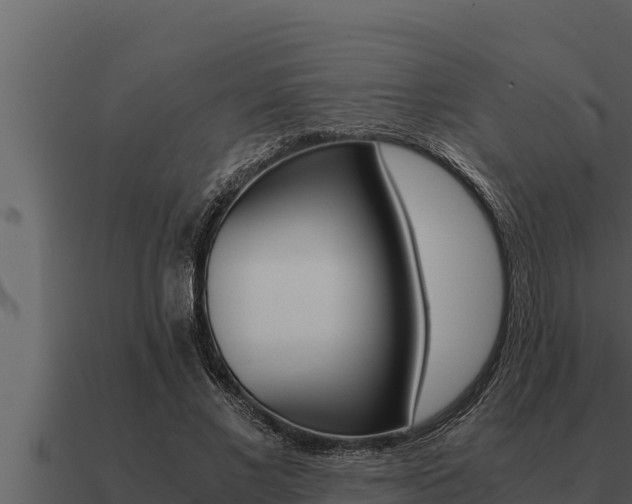 X0000091100685200708061023