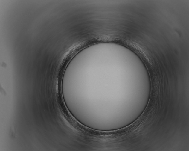X0000091100686200708061023