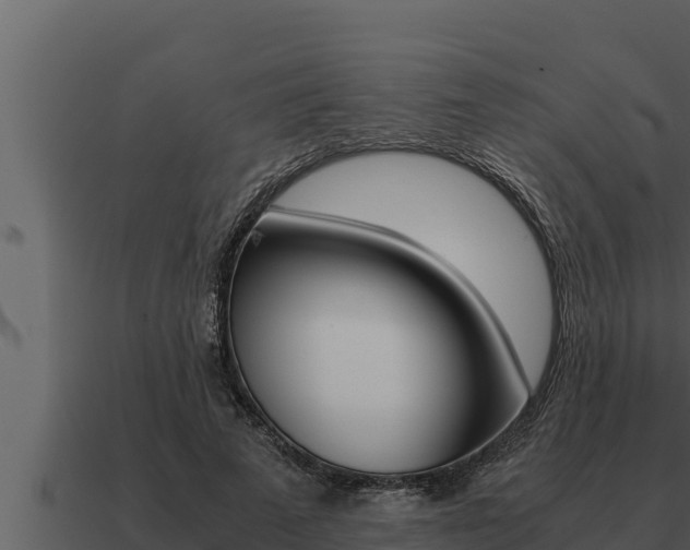 X0000091100689200708061023