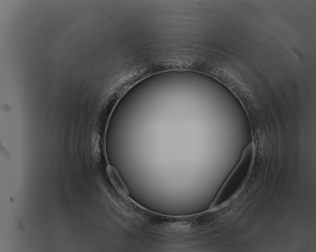 X0000091100692200708061023
