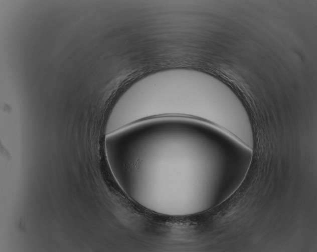 X0000091100693200708061023
