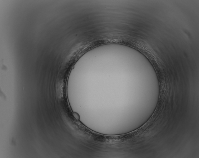 X0000091100694200708061023