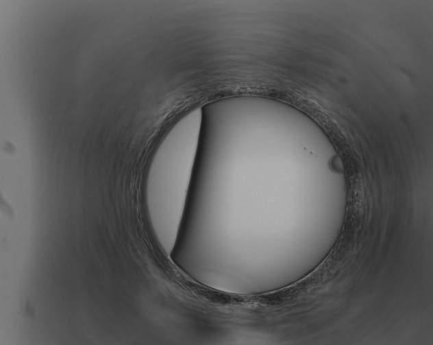 X0000091100695200708061023