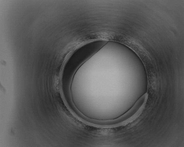 X0000091100696200708061023