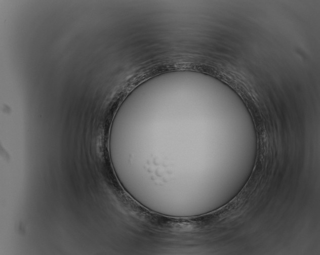 X0000091100698200708061023