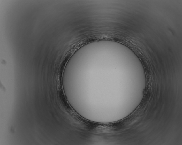 X0000091100699200708061023