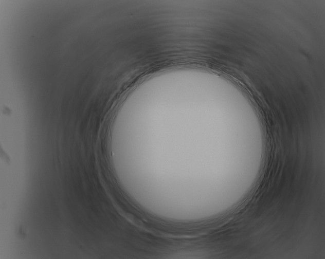 X0000091100701200708061023