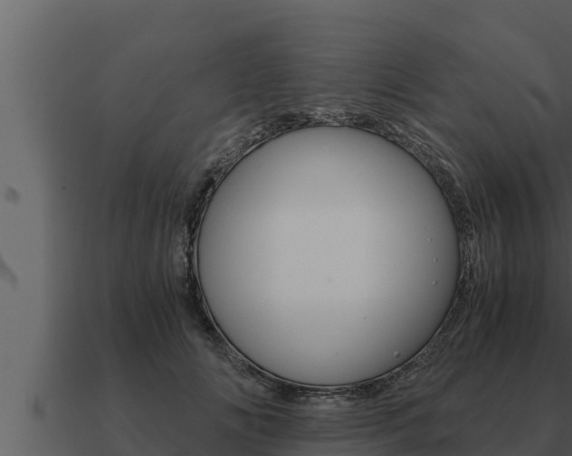 X0000091100702200708061023