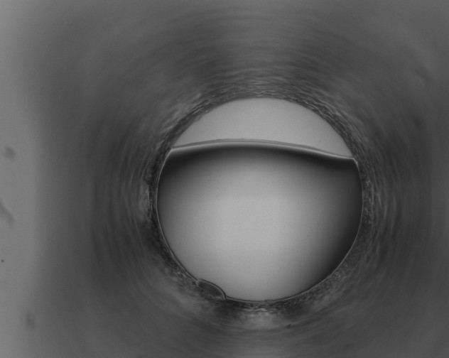 X0000091100704200708061022