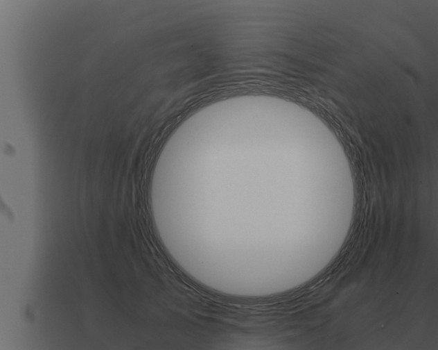 X0000091100705200708061022