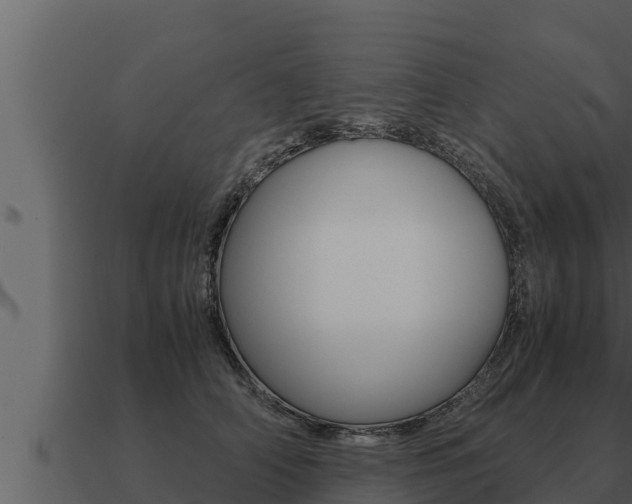 X0000091100706200708061022
