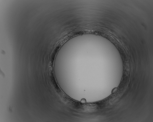 X0000091100707200708061022