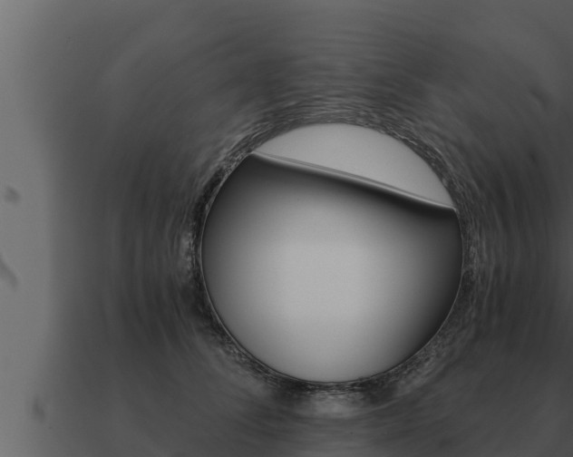 X0000091100708200708061022