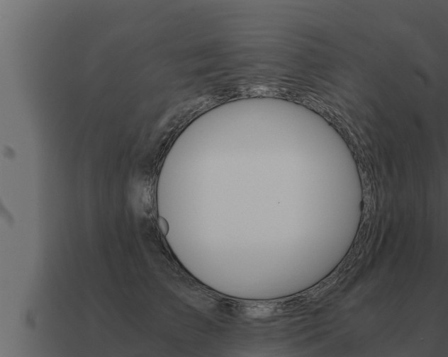 X0000091100709200708061022