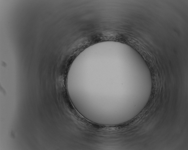 X0000091100711200708061022
