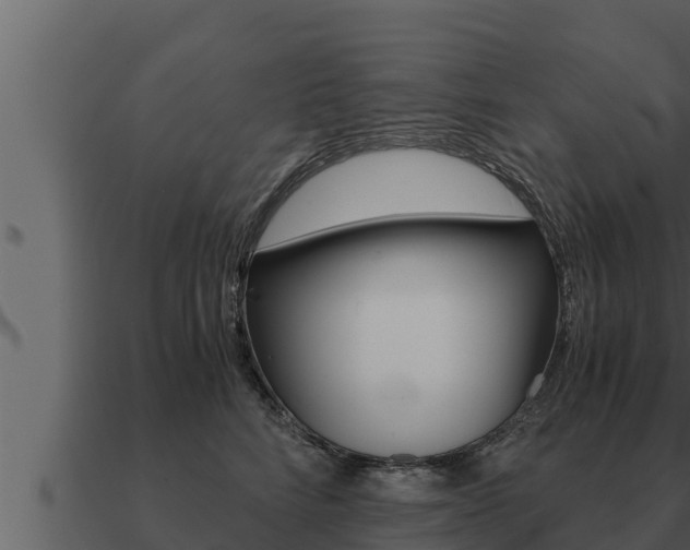 X0000091100712200708061022
