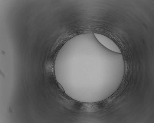 X0000091100713200708061022