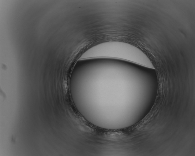 X0000091100716200708061022