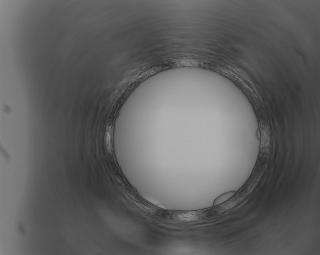 X0000091100717200708061022