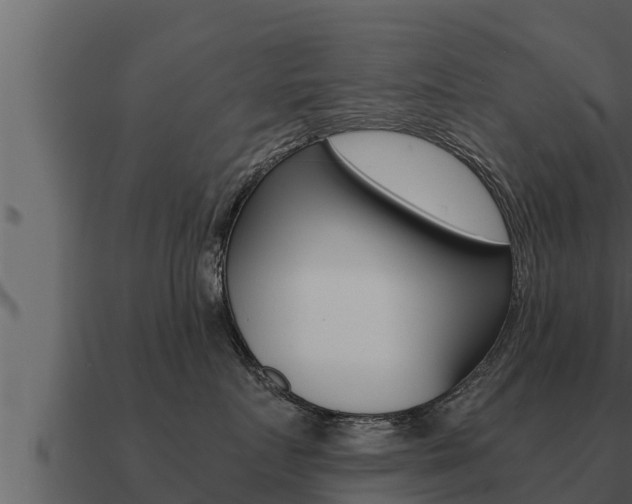 X0000091100719200708061022