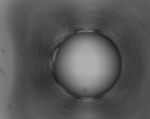 X0000091100720200708061022