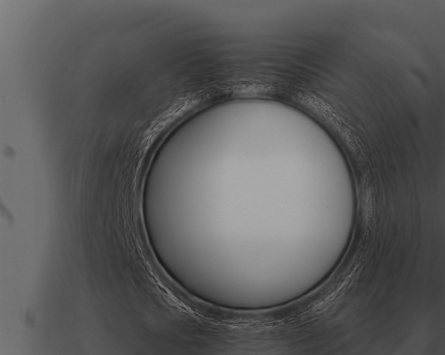 X0000091100721200708061021