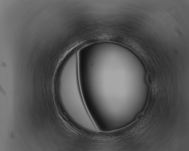 X0000091100722200708061021