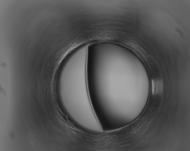 X0000091100723200708061021