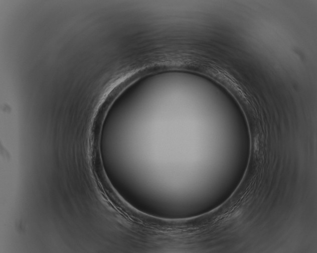 X0000091100724200708061022