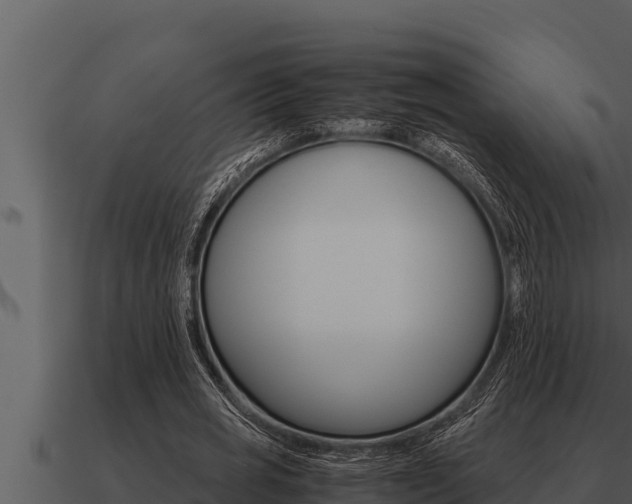 X0000091100725200708061022