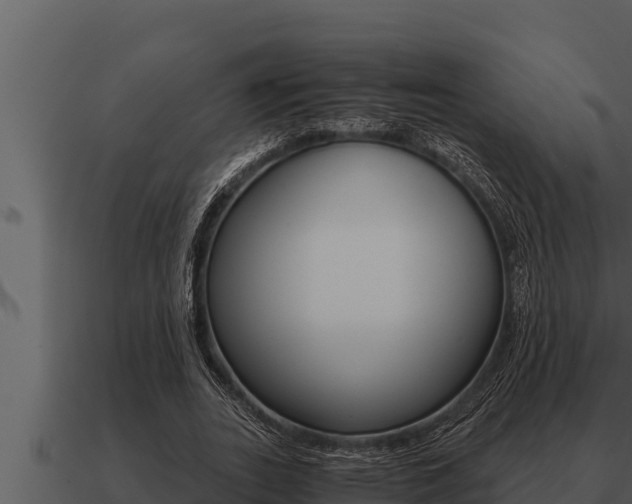 X0000091100727200708061022