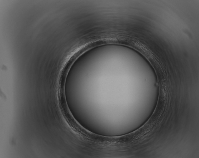 X0000091100728200708061022