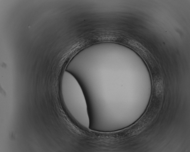 X0000091100729200708061022