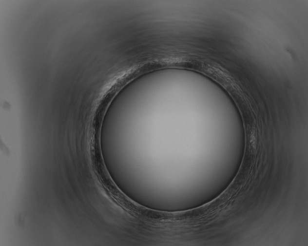 X0000091100732200708061022