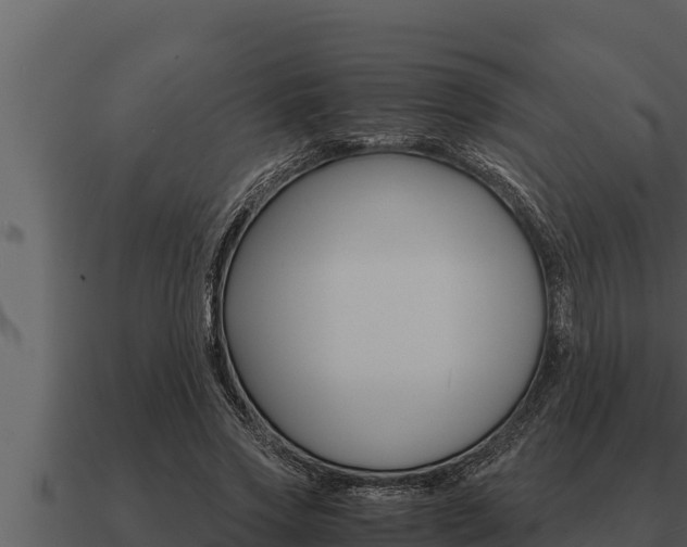 X0000091100733200708061022