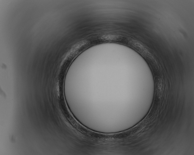 X0000091100734200708061022