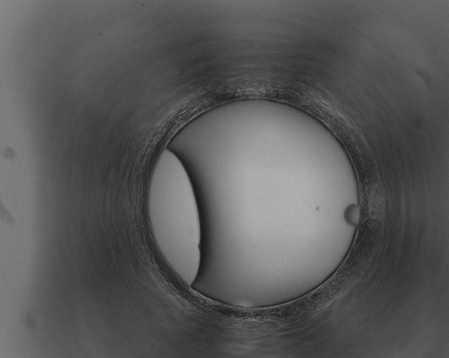 X0000091100737200708061022