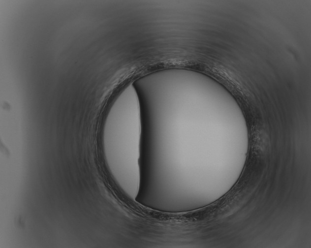 X0000091100738200708061022
