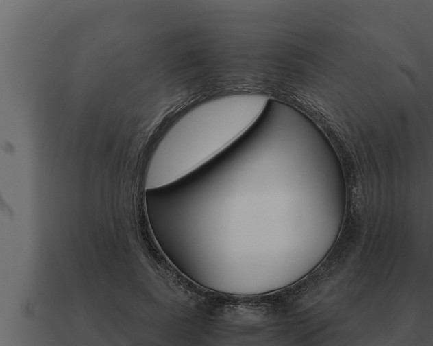 X0000091100739200708061022