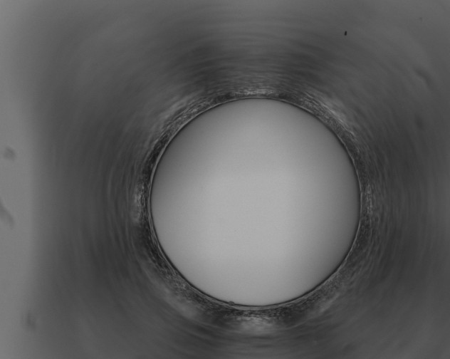 X0000091100741200708061022