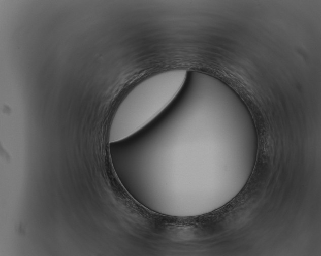 X0000091100743200708061022