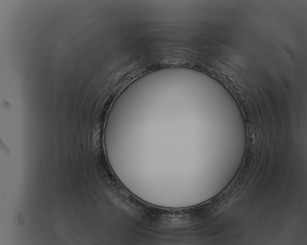 X0000091100745200708061022