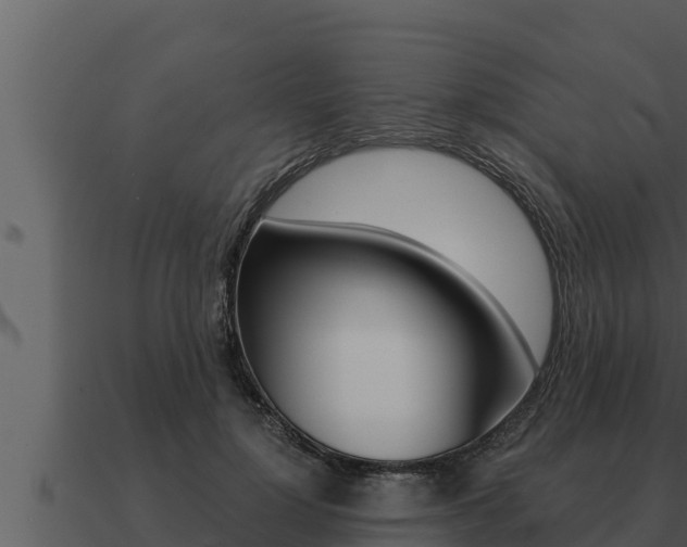 X0000091100748200708061022