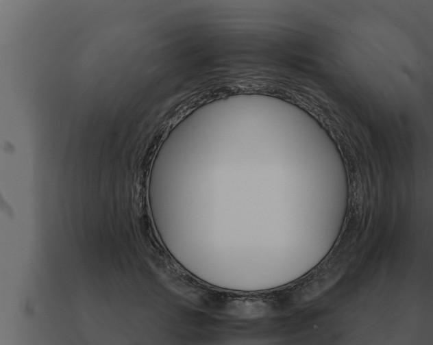 X0000091100749200708061022