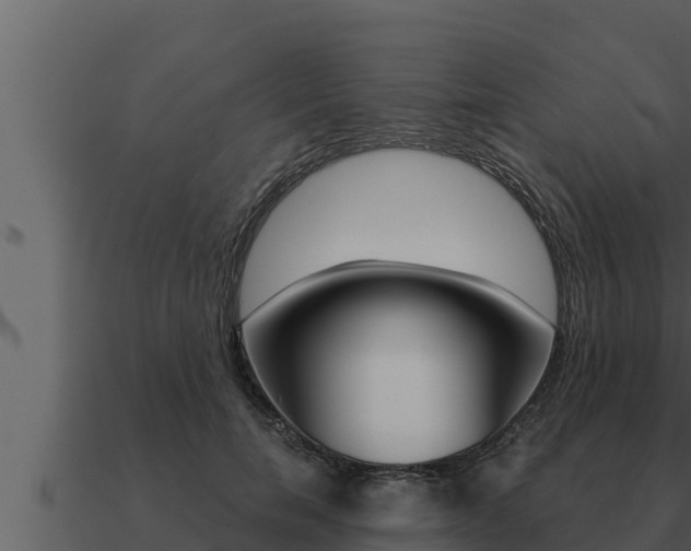 X0000091100750200708061022