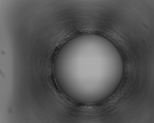 X0000091100751200708061022